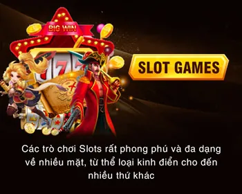 Chương trình VIP sv288